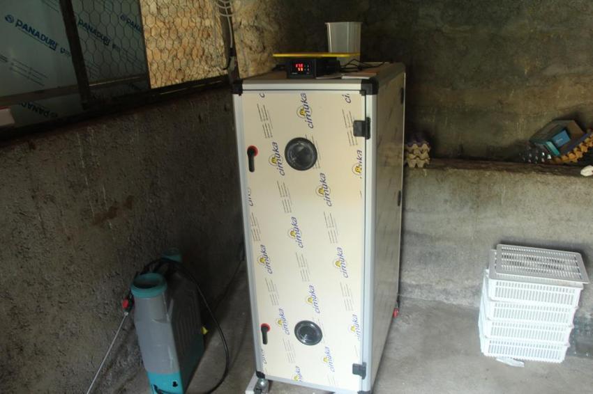 Şırnak'ta çaresizlikten doğan girişimcilik! Evinin bahçesini üretim üssüne çevirdi: Ailesine bu sayede bakabiliyor