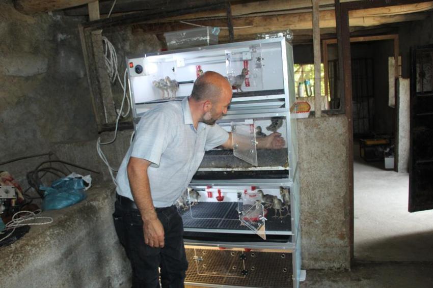 Şırnak'ta çaresizlikten doğan girişimcilik! Evinin bahçesini üretim üssüne çevirdi: Ailesine bu sayede bakabiliyor