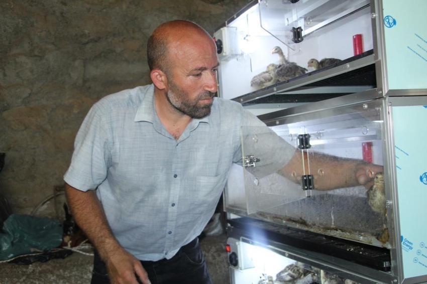 Şırnak'ta çaresizlikten doğan girişimcilik! Evinin bahçesini üretim üssüne çevirdi: Ailesine bu sayede bakabiliyor