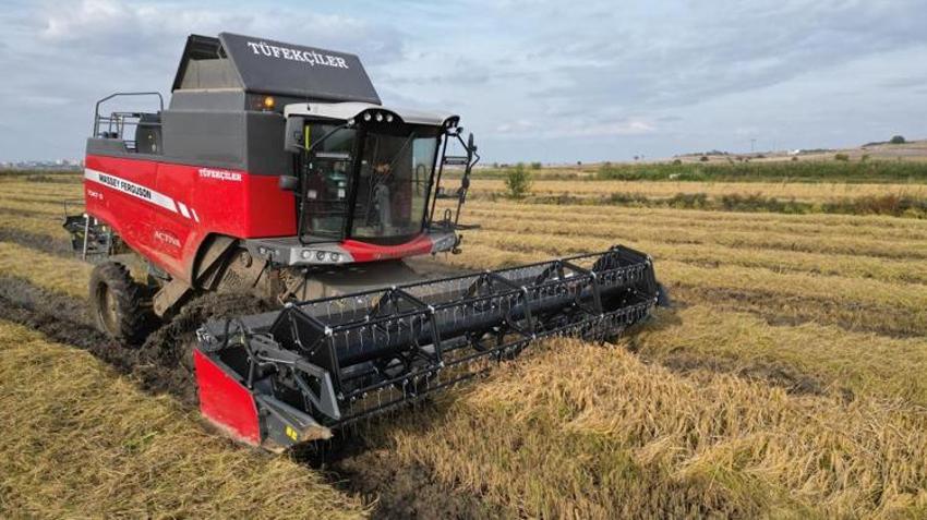 Edirne’de çeltik tarlaları çamura battı! Zorlu hasat başladı! Verim yüz güldürdü ama fiyatlar üzdü!