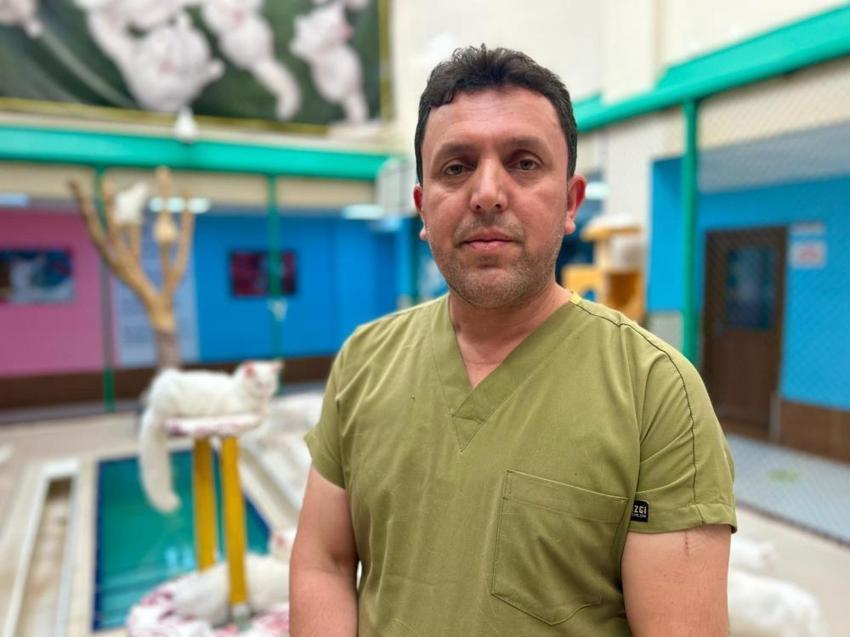 Van kedilerinin 'Koruyucu Babası' oldu! Kedilerin neslini kurtaran kahraman ömrünü bu işe adadı: 'Veterinerlik bodrumundan lüks villaya...'