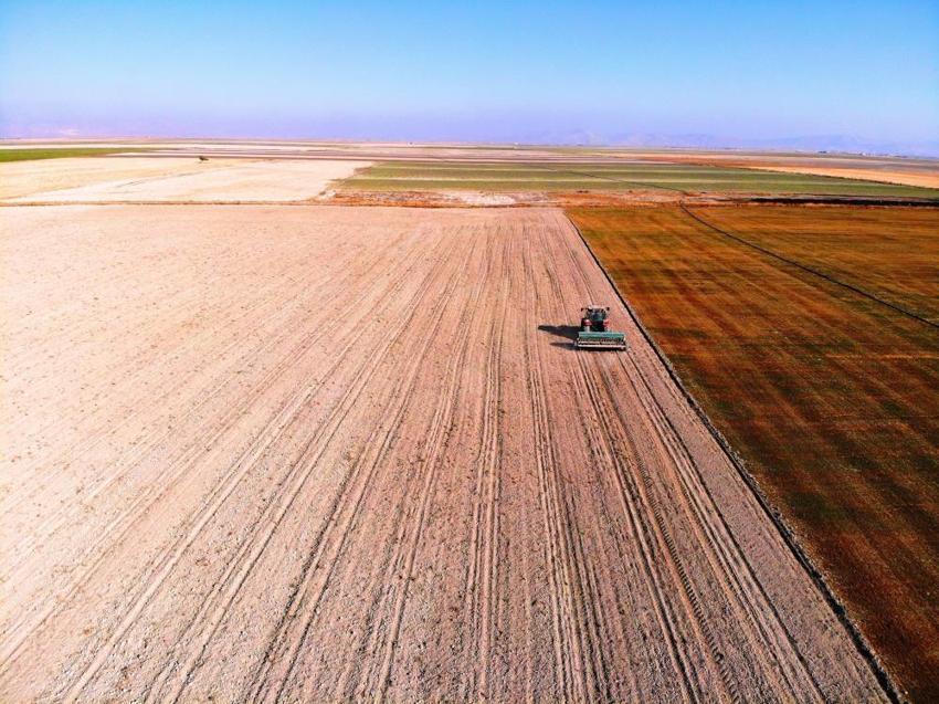 Konya'ya da sıçradı! Köylülerin kabusu oldu, tek parçası yok ediyor: Maalesef başladı