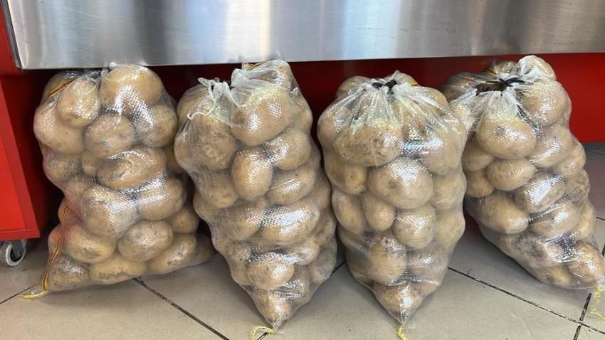 Kastamonu patatesi rekor kırdı! Devrekani'de dekar başına 5 ton verim: Çiftçinin yüzü güldü!