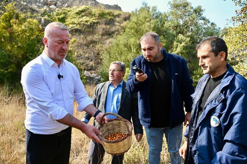 Bursa'nın köyünde 'hazine' var! Kendiliğinden yetişiyor, yeni dönem başladı, artık dünya tanıyacak