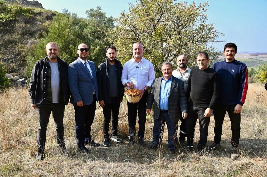 Bursa'nın köyünde 'hazine' var! Kendiliğinden yetişiyor, yeni dönem başladı, artık dünya tanıyacak