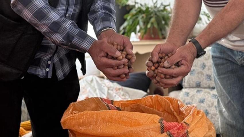 Evlerinin odalarında ya da depolarda saklıyorlar! Üretici kararlı: "Fiyat yükselmeden satış yok"