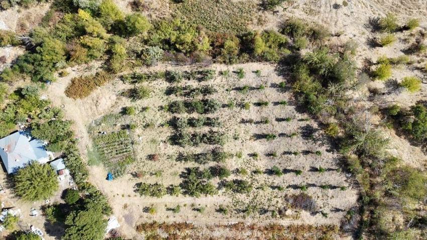 Fransa’dan köyüne döndü, 600 kişiye iş kapısı olacak projeyi hayata geçirdi: Sorbonne mezunu kadın girişimciden Tunceli’de devrim yaratacak proje!