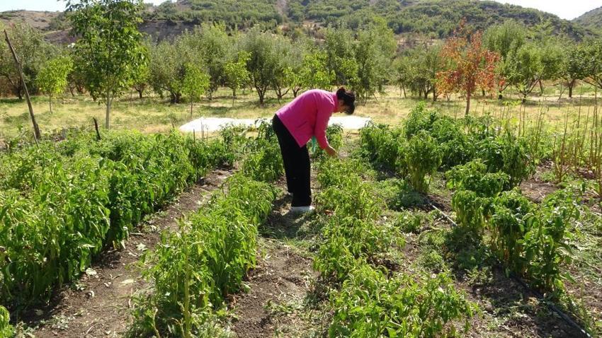 Fransa’dan köyüne döndü, 600 kişiye iş kapısı olacak projeyi hayata geçirdi: Sorbonne mezunu kadın girişimciden Tunceli’de devrim yaratacak proje!
