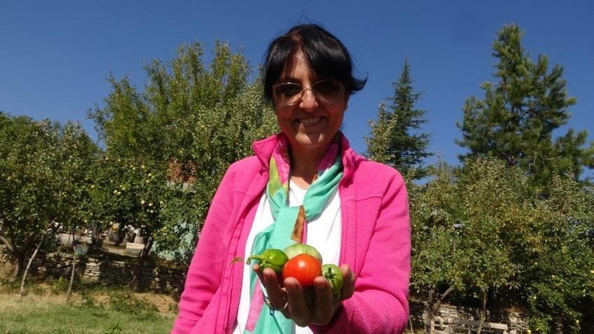 Fransa’dan köyüne döndü, 600 kişiye iş kapısı olacak projeyi hayata geçirdi: Sorbonne mezunu kadın girişimciden Tunceli’de devrim yaratacak proje!