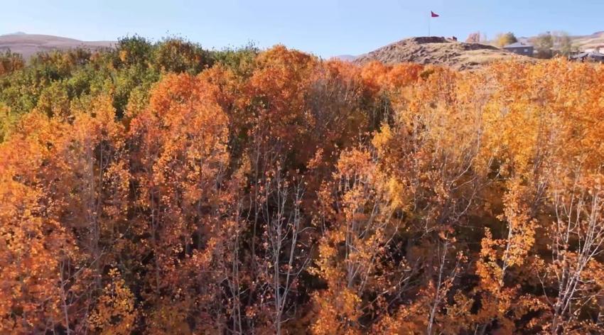 Cilo Dağı eteklerinde sonbahar manzaraları! Yüksekova'daki doğa harikası Suüstü köyü ziyaretçi akınına uğruyor