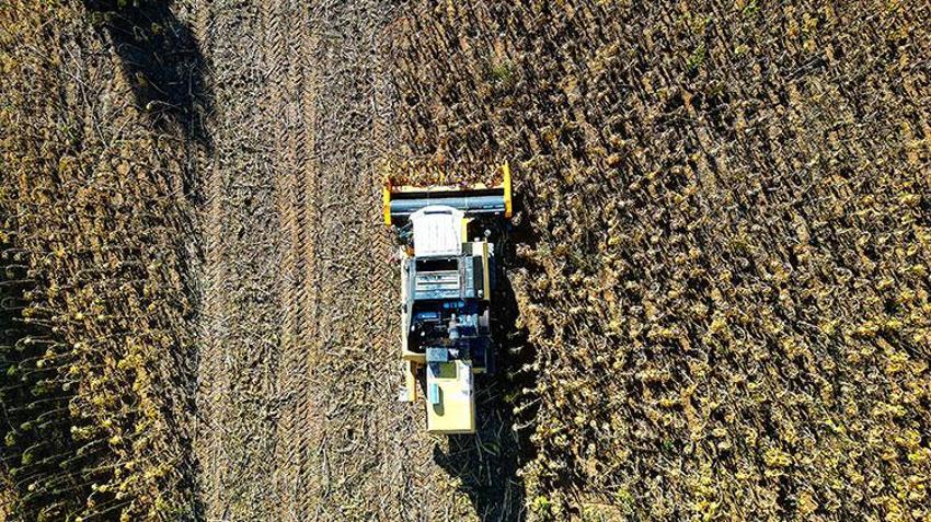 Bayburt'ta çiftçi geleneksel yöntemi bırakıp bunu denedi, kârı 10 kat arttı: Dekar başına 400 kilogram veriyor!