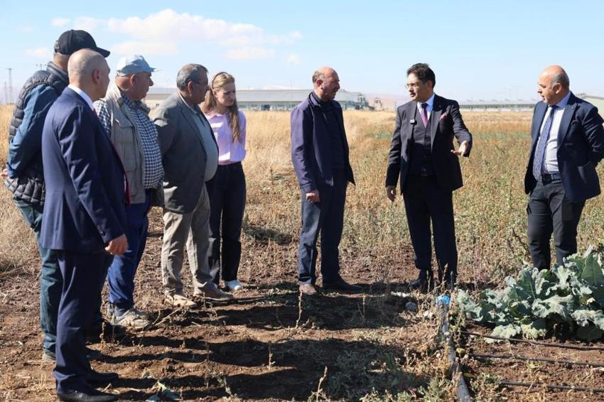 Erzurum’da bir ilk! Deneme amaçlı ekildi, sonuçlar şaşırttı! Yeni ürünle kazanç 2 katına çıkıyor