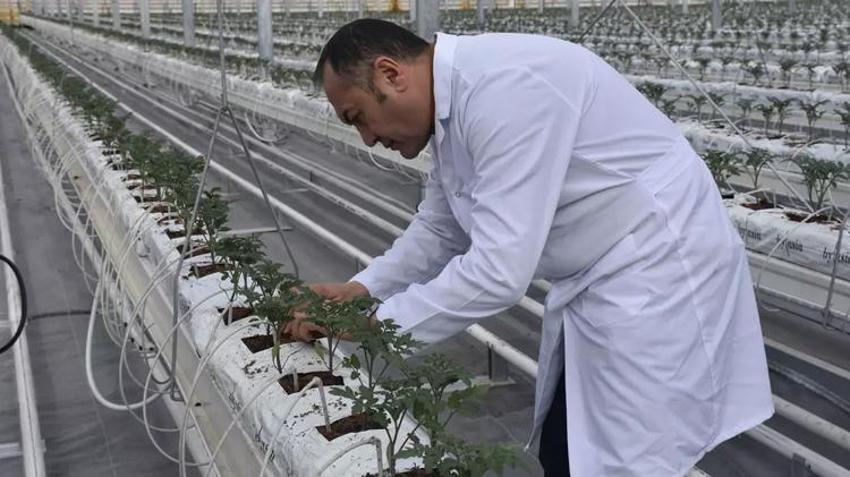 Türkiye'de sadece Sivas'ta yapılacak! 6 milyon dolarlık piyango, hepsi Avrupa'ya satılacak