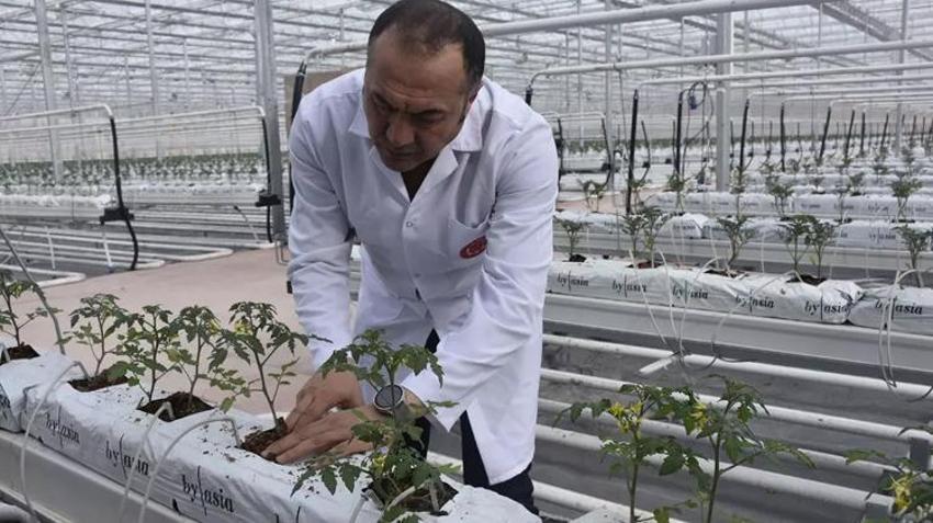 Türkiye'de sadece Sivas'ta yapılacak! 6 milyon dolarlık piyango, hepsi Avrupa'ya satılacak