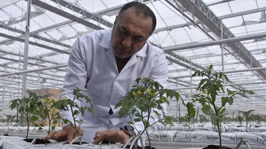 Türkiye'de sadece Sivas'ta yapılacak! 6 milyon dolarlık piyango, hepsi Avrupa'ya satılacak