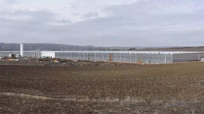 Türkiye'de sadece Sivas'ta yapılacak! 6 milyon dolarlık piyango, hepsi Avrupa'ya satılacak