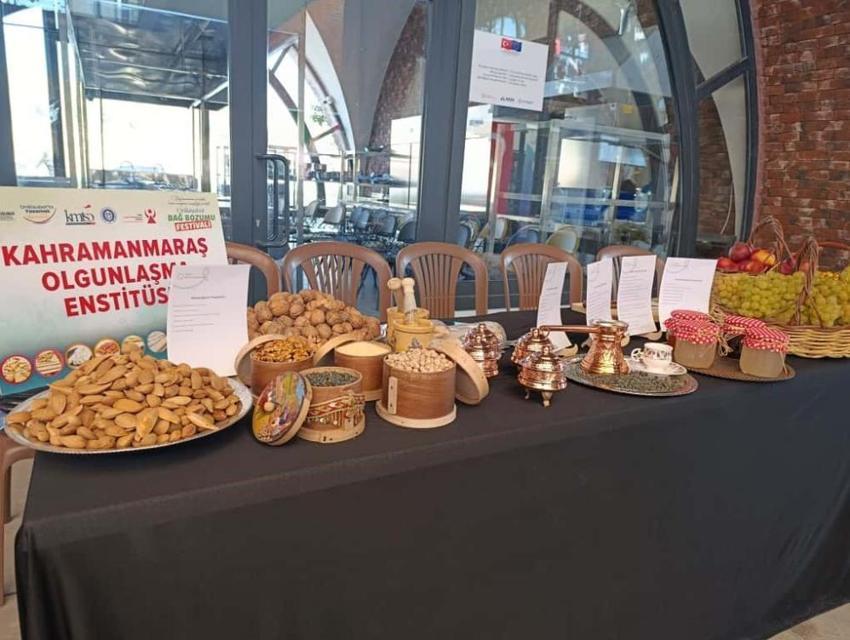 Kahramanmaraş'ta 'Kadın emeği' vurgulu Geleneksel Bağ Bozumu Festivali başladı!