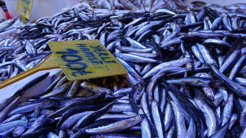 Samsun'da kilosu 300 TL'den 100 TL'ye düştü! 50 kasa anında bitti