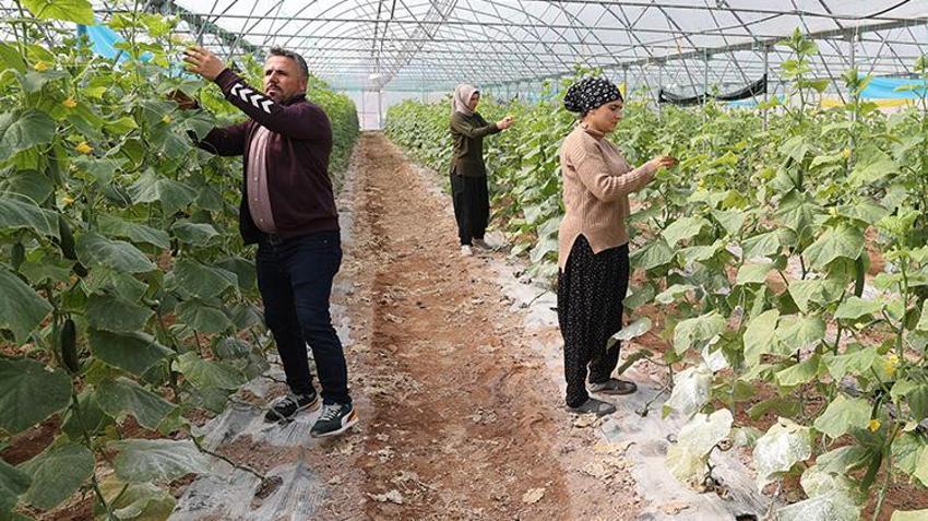 Kadın girişimci devlet desteği ile kendi işinin patronu oldu! Üretim kapasitesini 20 katına çıkardı, köyünü istihdam üssü yaptı, köylüsünü ihya etti