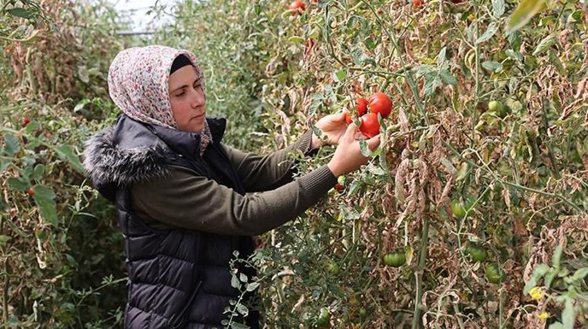 Kadın girişimci devlet desteği ile kendi işinin patronu oldu! Üretim kapasitesini 20 katına çıkardı, köyünü istihdam üssü yaptı, köylüsünü ihya etti