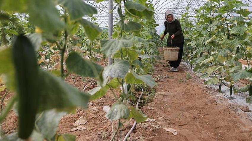 Kadın girişimci devlet desteği ile kendi işinin patronu oldu! Üretim kapasitesini 20 katına çıkardı, köyünü istihdam üssü yaptı, köylüsünü ihya etti