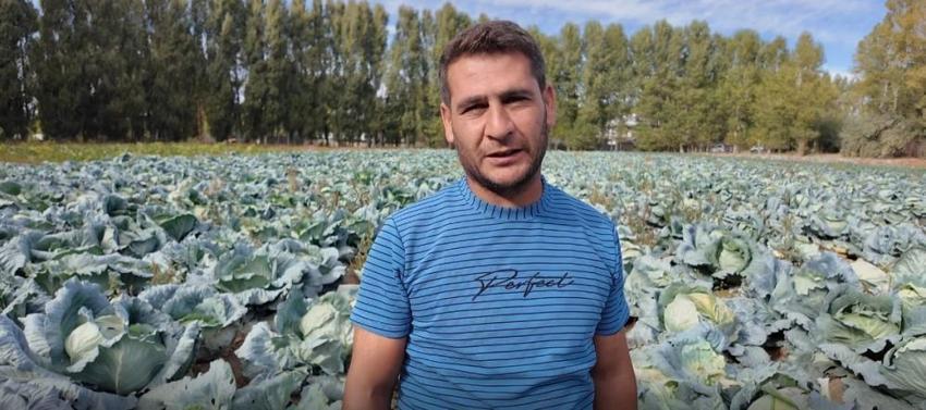 Van'da hasat başladı! Ürünün fiyatı çiftçinin yüzünü güldürdü