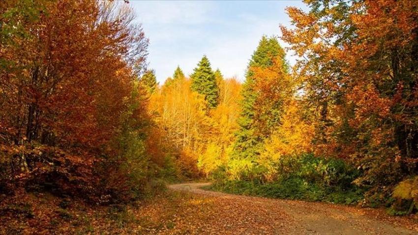19 Ekim Malatya hava durumu: Malatya ilçelerde hava nasıl olacak?