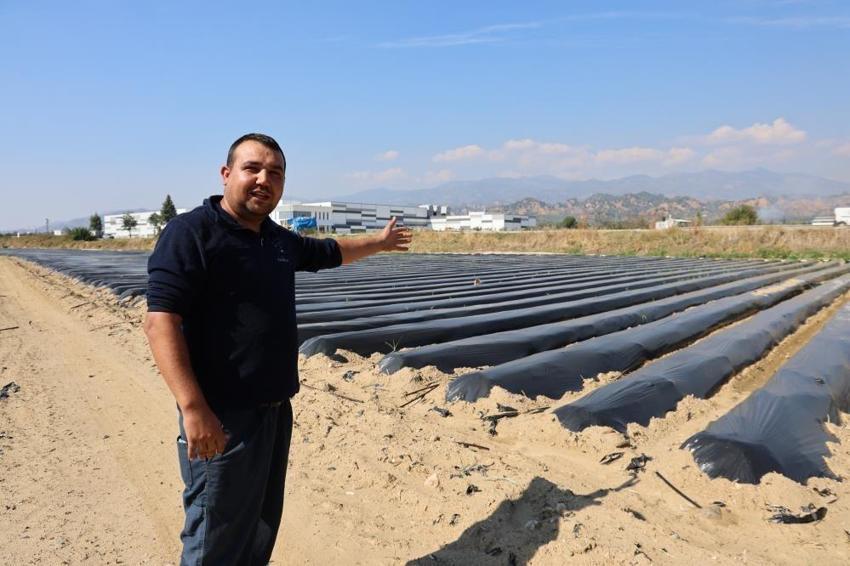 Sezonu 110 gün sürüyor: Kilosu 72 TL'den tonlarca satıyorlar