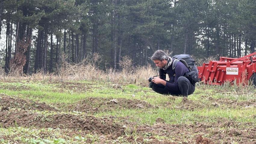 Safran hasadı başladı! 2025 safranın kilo fiyatı belli oldu: Yeniden dünyanın en pahalısı seçildi