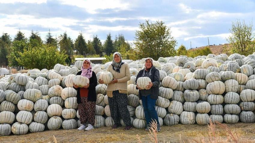 Eskişehir'de köylü tarih bekliyor! Az bir zaman kaldı