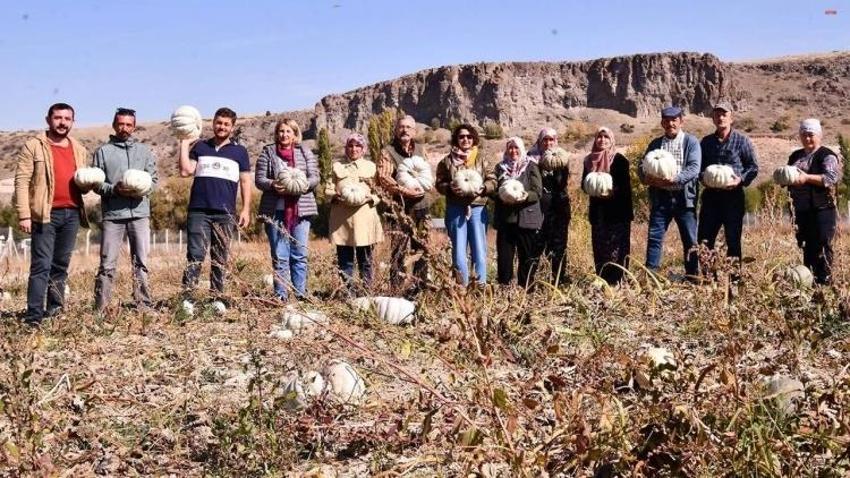 Eskişehir'de köylü tarih bekliyor! Az bir zaman kaldı