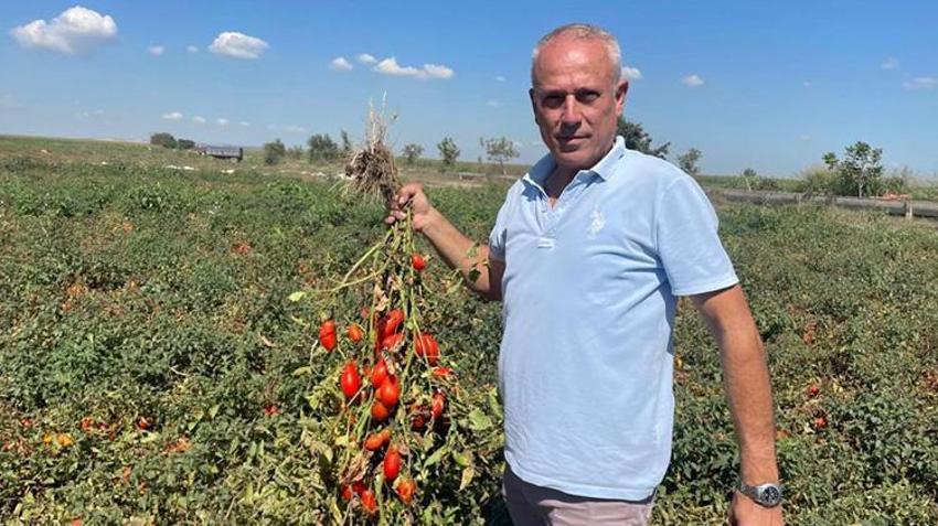 Bursalı vatandaş Londra'da kazandı Karacabey'de yatırım yaptı! Dil öğrenmek için gitti fast food zinciri kurdu