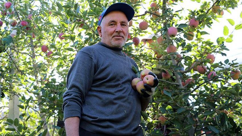 Isparta'da hasat devam ederken kötü haber geldi! Zirai donun etkisi hasatta ortaya çıktı