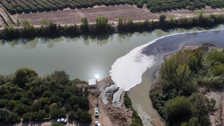Adana'da Ceyhan Nehri'ndeki kirlilik balıkları telef etti! 11 tesise 10 milyon 30 bin TL idari ceza uygulanmıştı