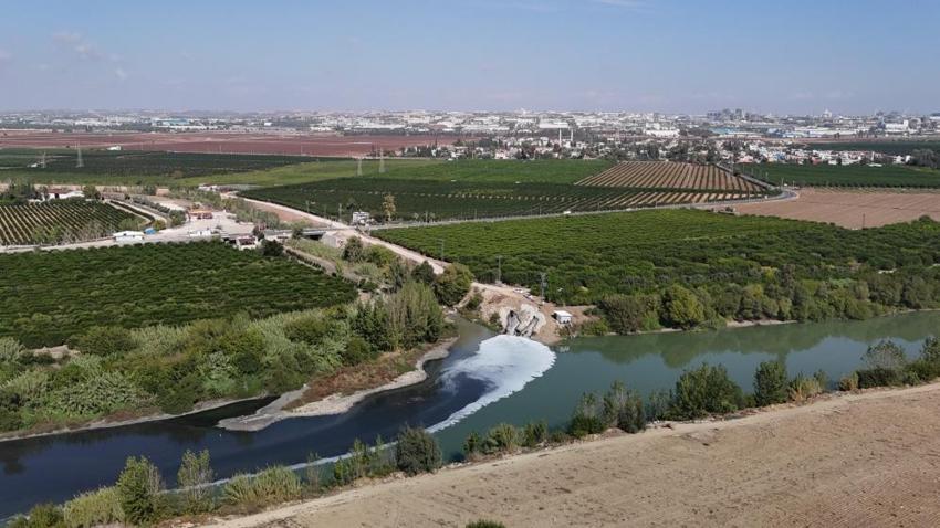 Adana'da Ceyhan Nehri'ndeki kirlilik balıkları telef etti! 11 tesise 10 milyon 30 bin TL idari ceza uygulanmıştı