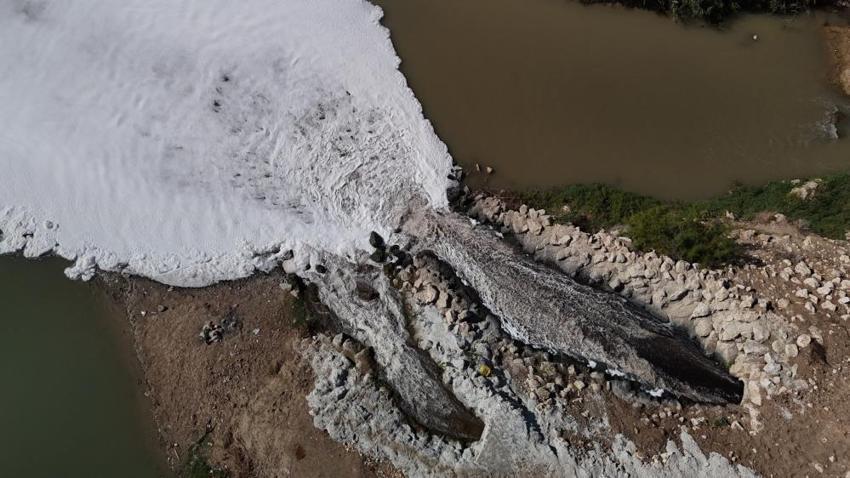 Adana'da Ceyhan Nehri'ndeki kirlilik balıkları telef etti! 11 tesise 10 milyon 30 bin TL idari ceza uygulanmıştı