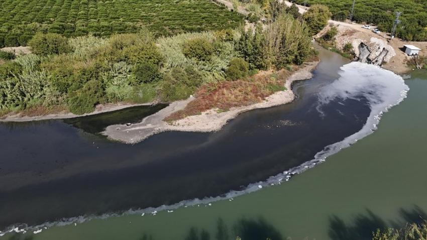 Adana'da Ceyhan Nehri'ndeki kirlilik balıkları telef etti! 11 tesise 10 milyon 30 bin TL idari ceza uygulanmıştı