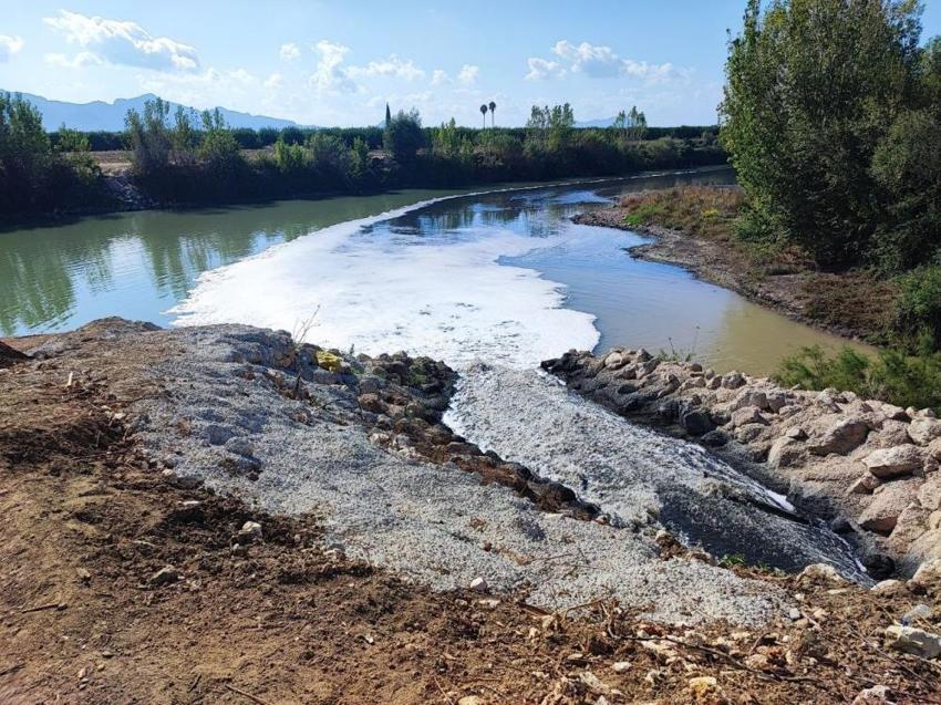 Adana'da Ceyhan Nehri'ndeki kirlilik balıkları telef etti! 11 tesise 10 milyon 30 bin TL idari ceza uygulanmıştı
