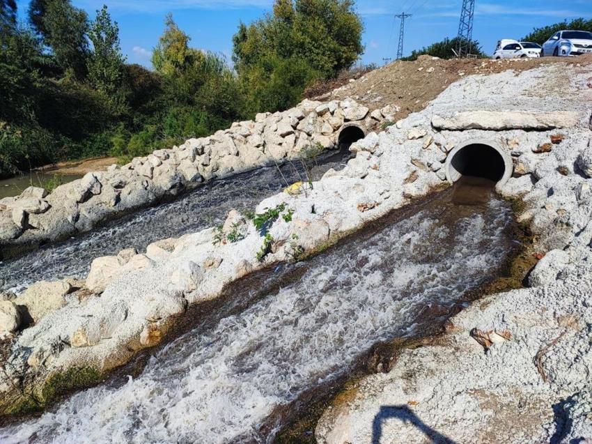 Adana'da Ceyhan Nehri'ndeki kirlilik balıkları telef etti! 11 tesise 10 milyon 30 bin TL idari ceza uygulanmıştı