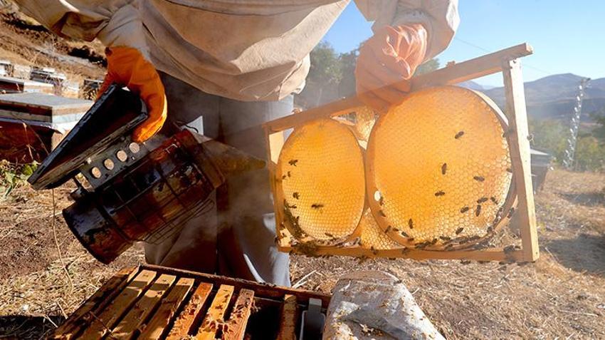 Hakkari'deki köyüne dönüş yapıp devlet desteğiyle üretime başladı!