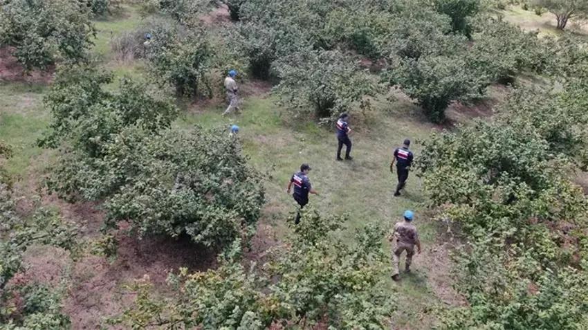 Kilosu 600 TL oldu! Jandarma 7/24 nöbet tutuyor: Hasat başladı, hırsızlar iş başında!