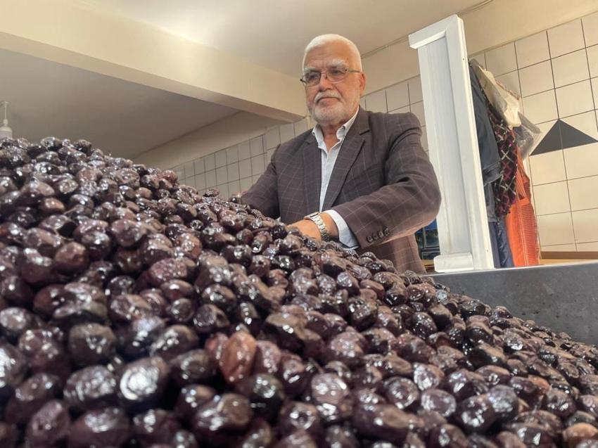 Bursa'nın dağlarından İsviçre'nin sofralarına! 'Almanya'ya evet desek iç piyasaya ürün kalmaz'