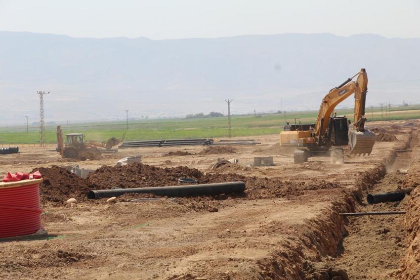 Şırnak'ta tarımda devrim! Sınıra 10 km mesafede hayata geçiyor: Irak'a ihraç edilecek