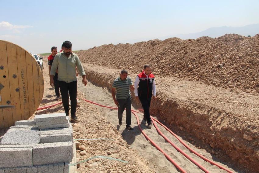 Şırnak'ta tarımda devrim! Sınıra 10 km mesafede hayata geçiyor: Irak'a ihraç edilecek