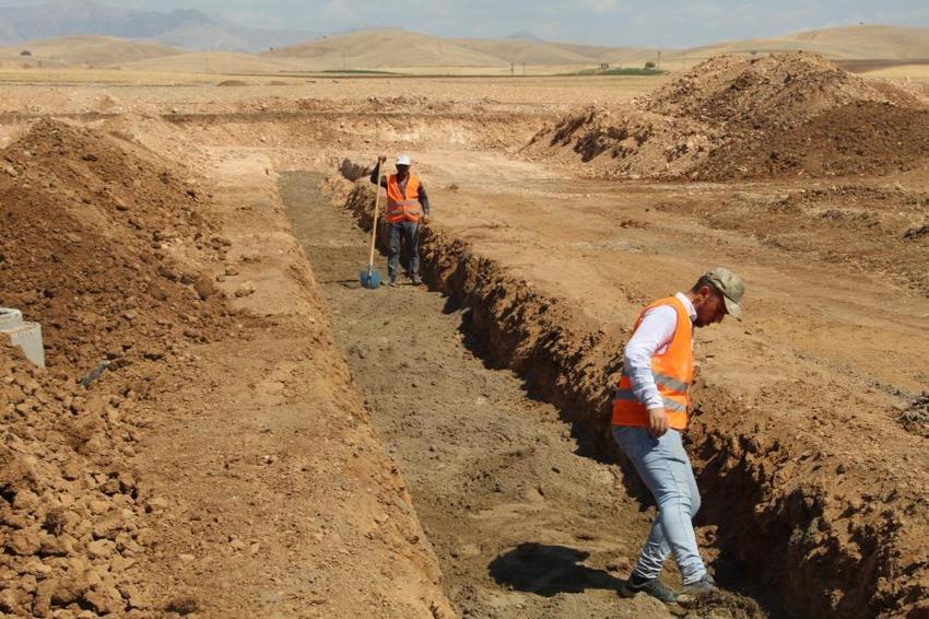 Şırnak'ta tarımda devrim! Sınıra 10 km mesafede hayata geçiyor: Irak'a ihraç edilecek
