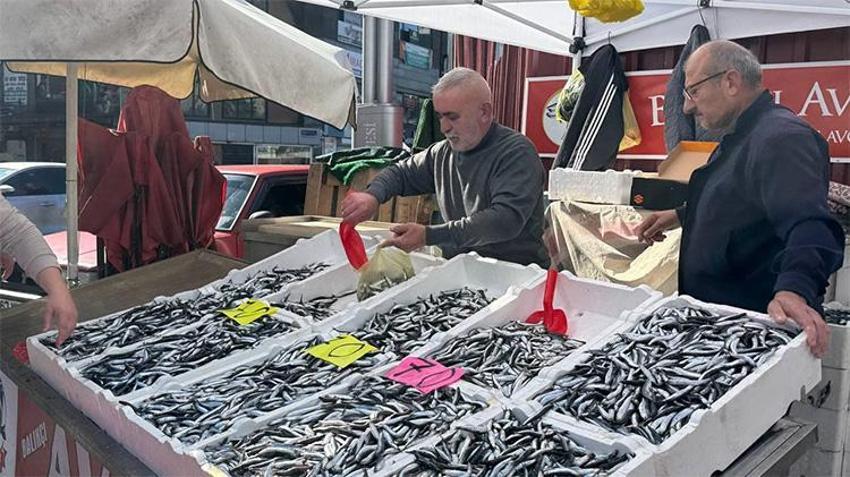 Hamsinin fiyatı dibi gördü! Bu sezon ilk kez oluyor, daha da düşebilir