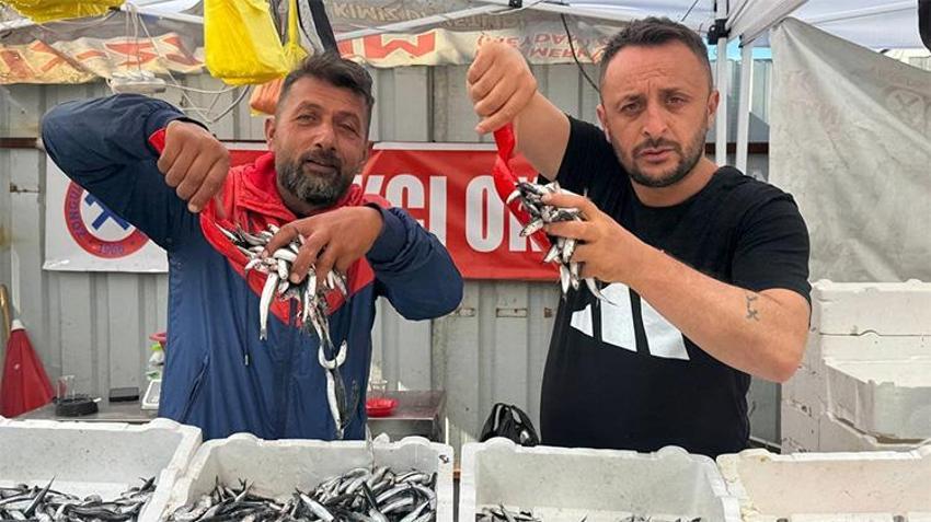 Hamsinin fiyatı dibi gördü! Bu sezon ilk kez oluyor, daha da düşebilir