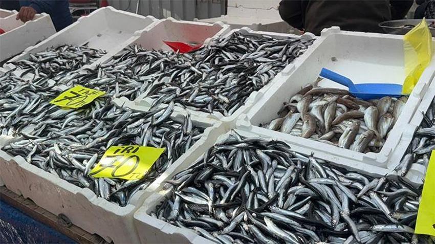 Hamsinin fiyatı dibi gördü! Bu sezon ilk kez oluyor, daha da düşebilir
