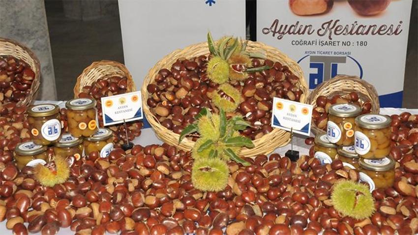 Aydın kestanesi sezona 550 TL ile giriş yaptı!