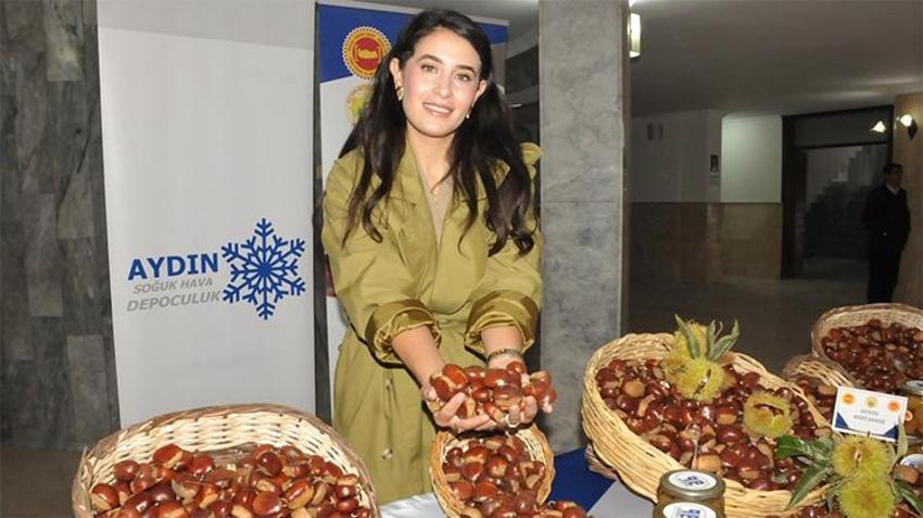 Aydın kestanesi sezona 550 TL ile giriş yaptı!